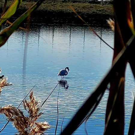 La Piaggiola *